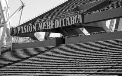 Cómo Eliminar las Ojeras: Una Guía de Evolución para tu Mirada